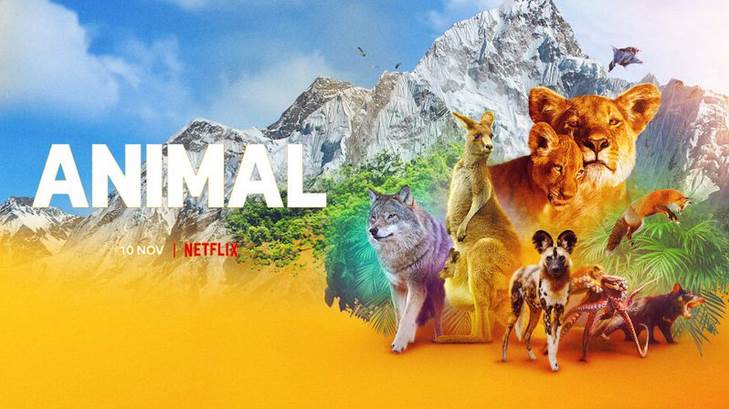 مستند حیوان Animal قسمت 3 با زیرنویس چسبیده فارسی