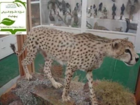 تارنمای موزه علوم طبیعی بهاباد یزد