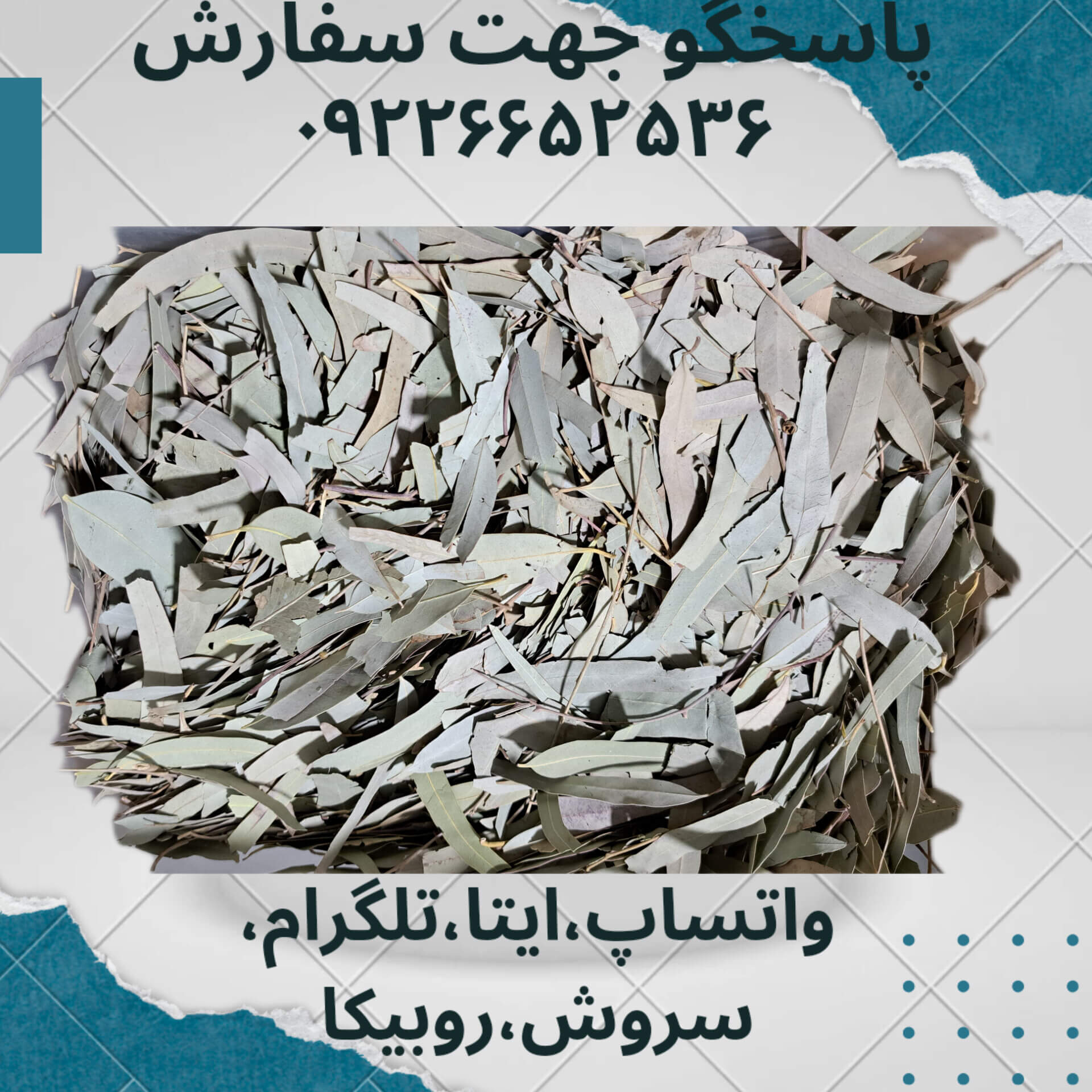 اکالیبتوس 300گرمی