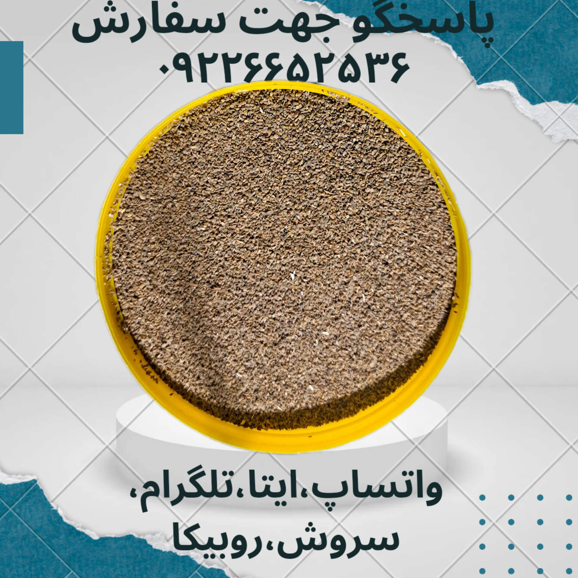 تخم کرفس  Celery seeds  بسته 100گرمی