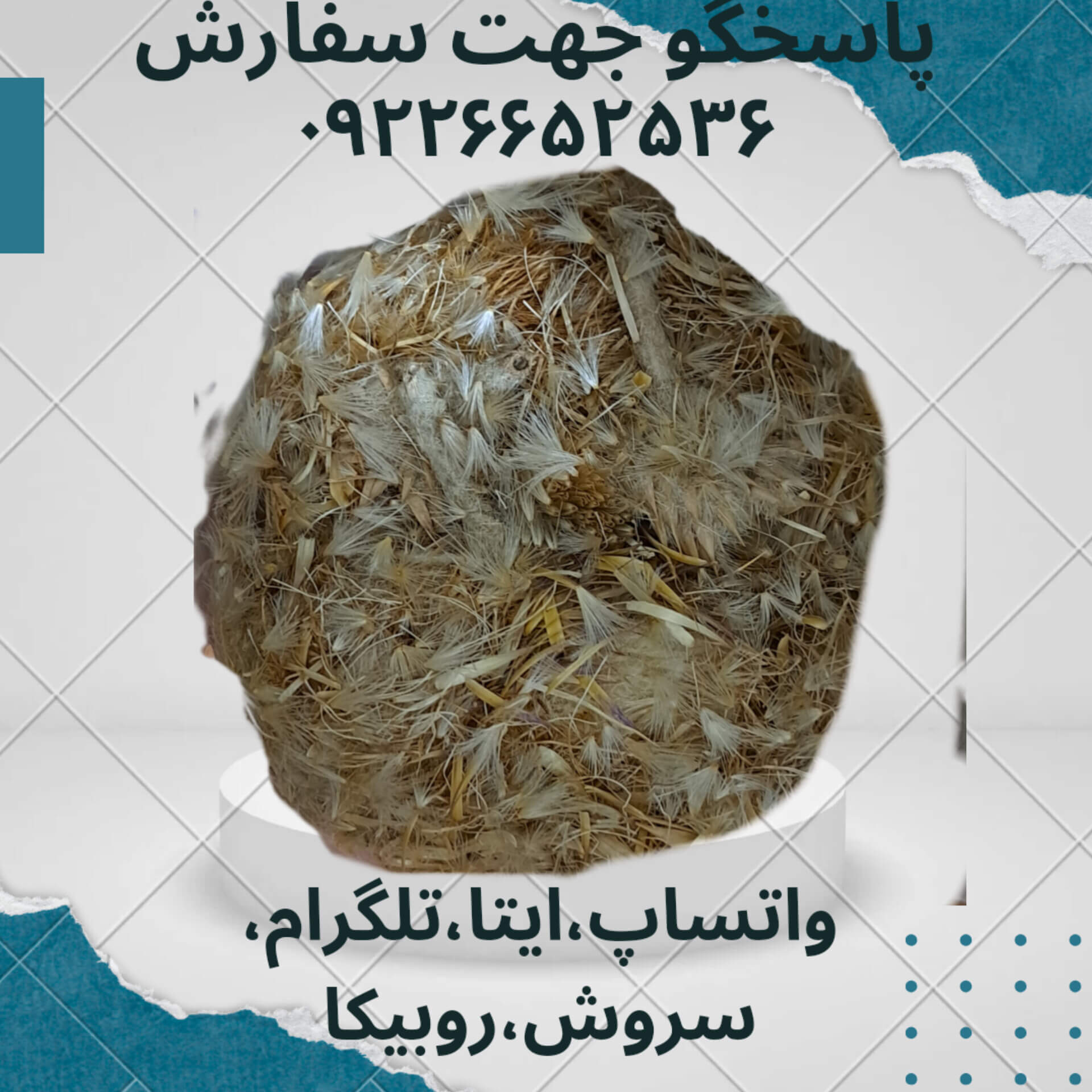 خار مریم 100 گرمی