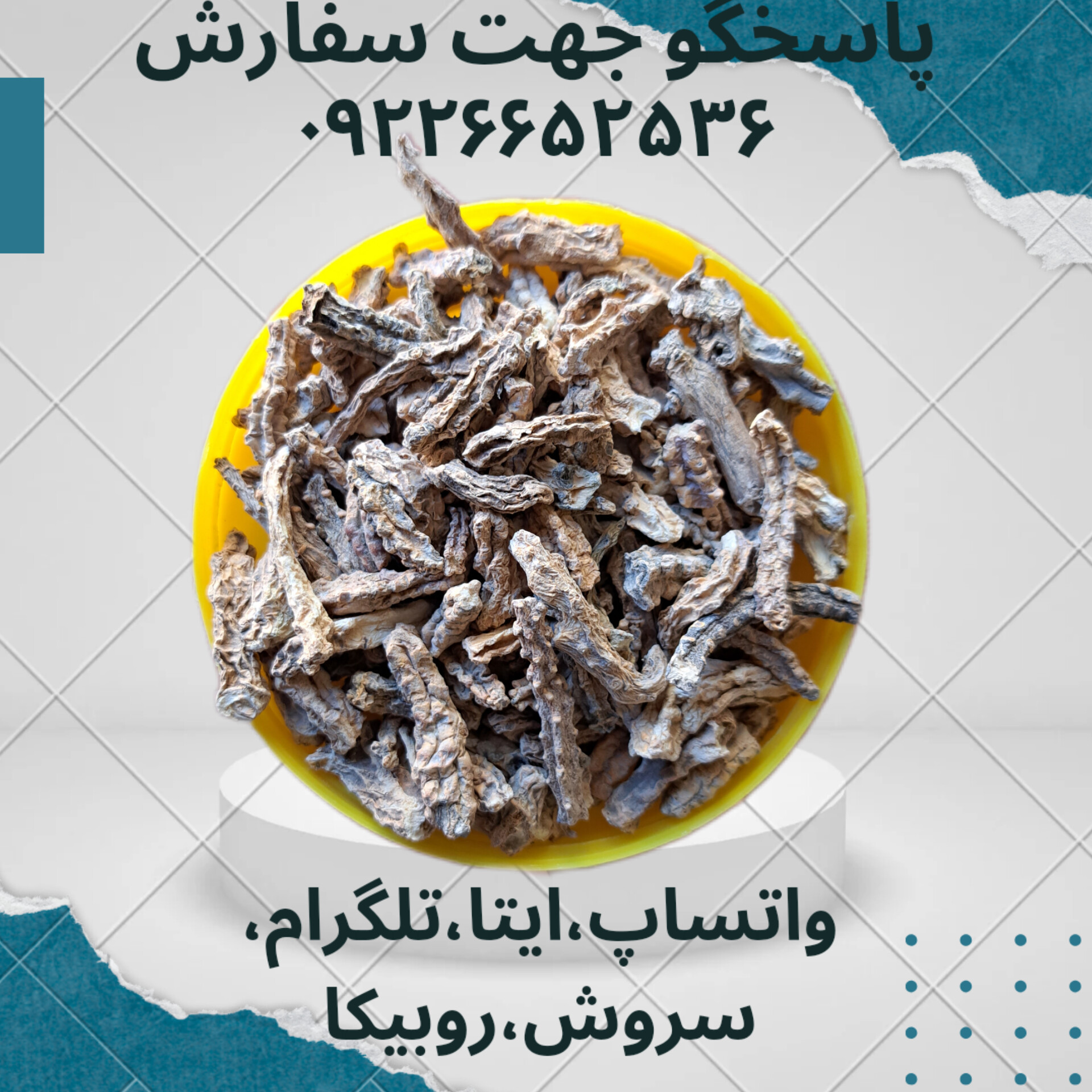 شقاقل ۱۰۰ گرمی