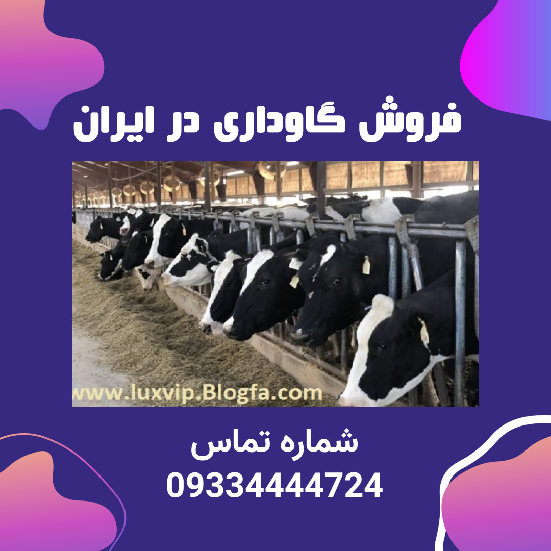 خرید گاوداری