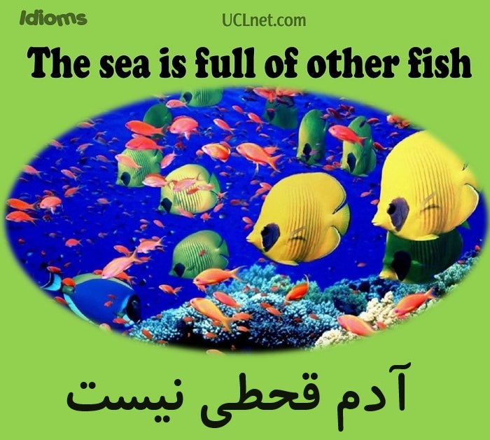 آدم قحطی نیست – The sea is full of other fish